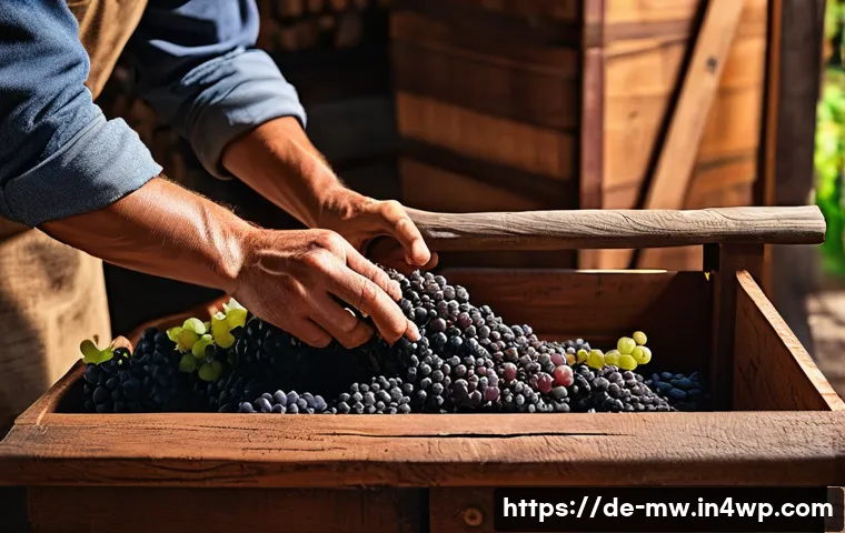 5 überraschende Fakten über den Verlust traditioneller Handwerkskunst bei Weingut-Touren entdecken 4 와이너리 투어 중 사라지는 전통 관련 이미지 2